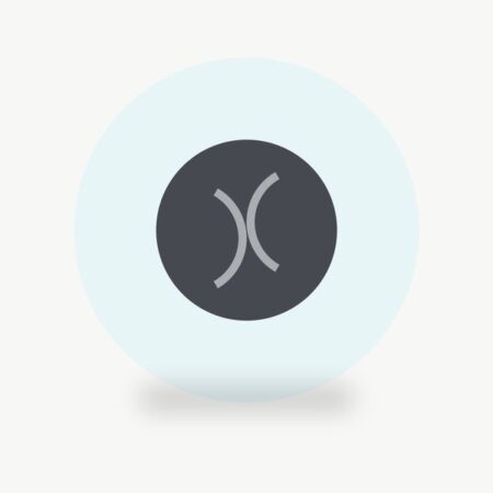 Pilates Ball 9"